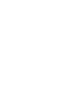 Spleen